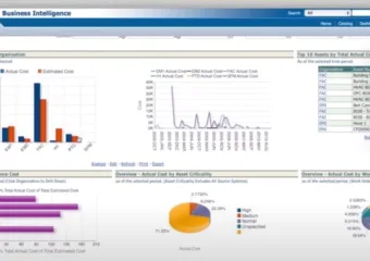 Software_Viziya
