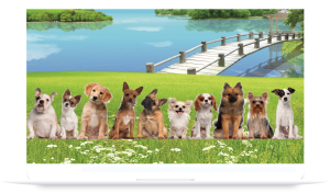 Software Veterinario